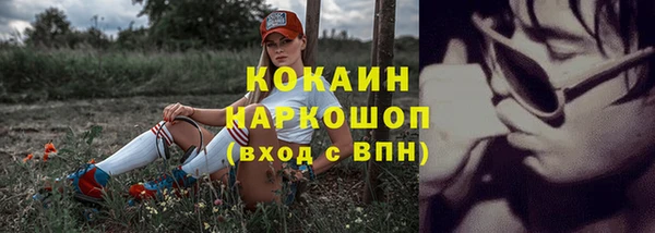 ешки Алексеевка