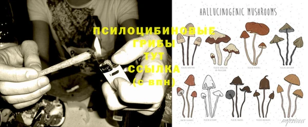 ешки Алексеевка